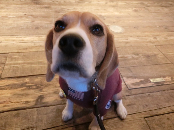 a0319693_8523860.jpg