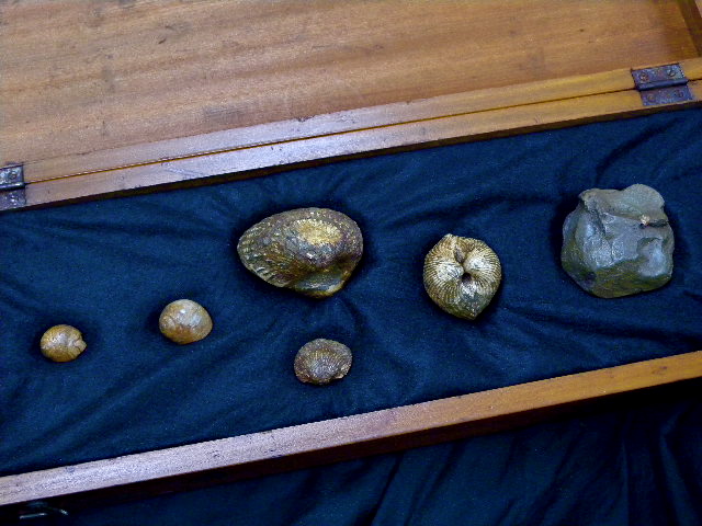 a0199297_17414570.jpg