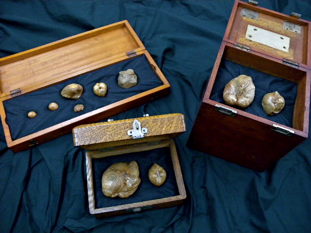 a0199297_17421117.jpg