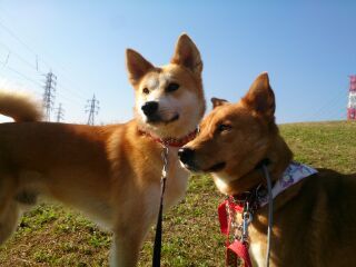 c0315313_17071409.jpg