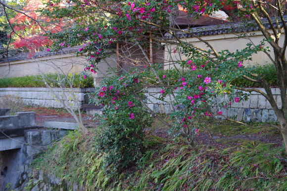 a0249215_7414227.jpg