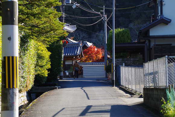 a0249215_7422666.jpg