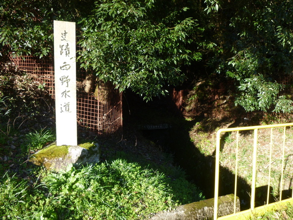 d0170615_1982223.jpg
