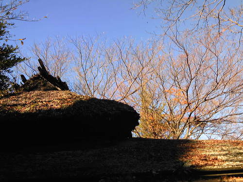 b0285619_21295116.jpg