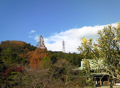 b0285619_2141512.jpg