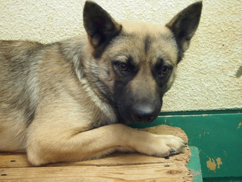 f0078320_5402787.jpg