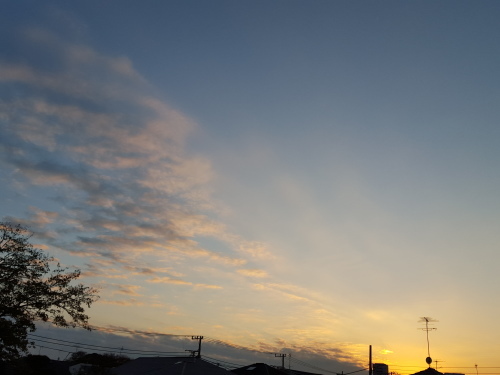 e0016828_11304561.jpg