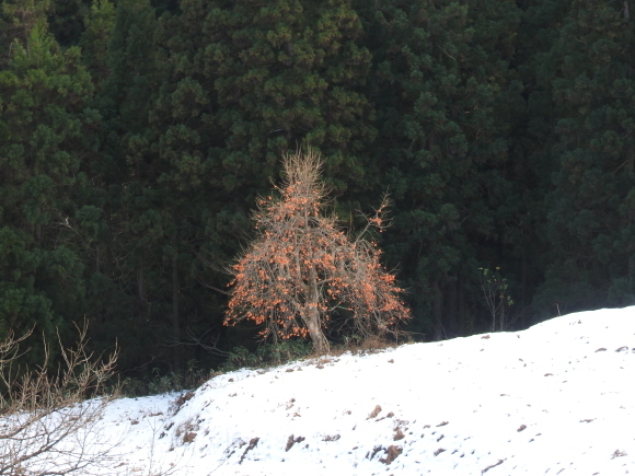 f0118332_00111491.jpg