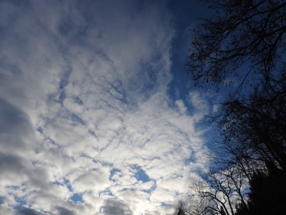 f0118332_00132566.jpg