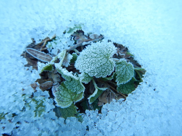 f0118332_21190518.jpg