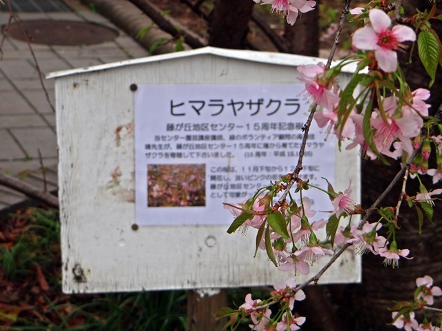 d0037233_14122180.jpg