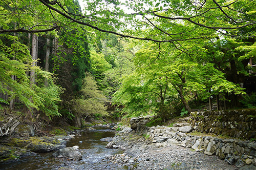 b0035734_16560964.jpg