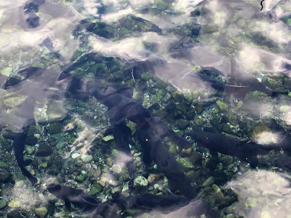 c0179935_10515235.jpg