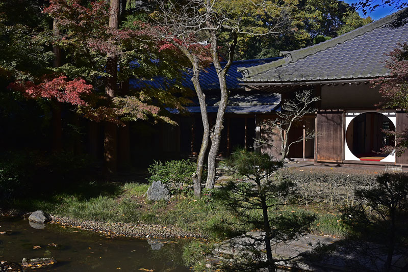 b0042837_21552349.jpg