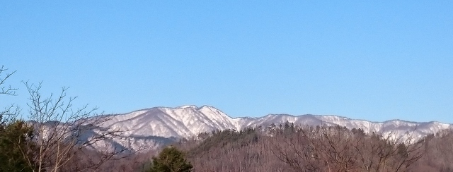 b0075140_1335346.jpg