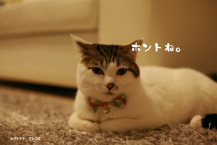 f0032042_13481493.jpg