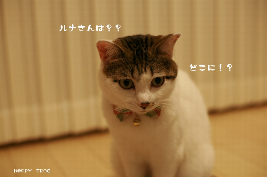 f0032042_20395684.jpg