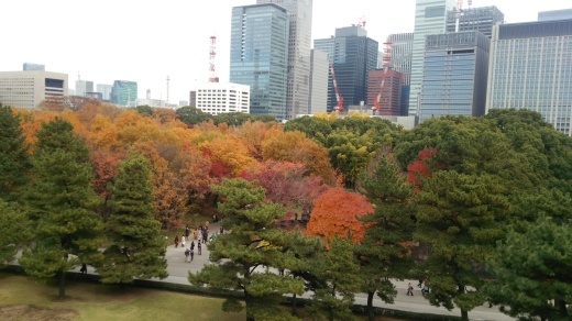 f0309148_20182077.jpg