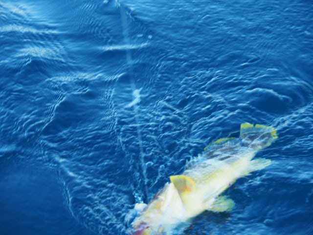 a0248152_17584627.jpg