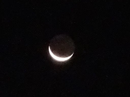 f0055956_7423052.jpg