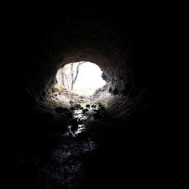 b0320758_21323933.jpg