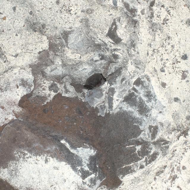 b0320758_21394873.jpg