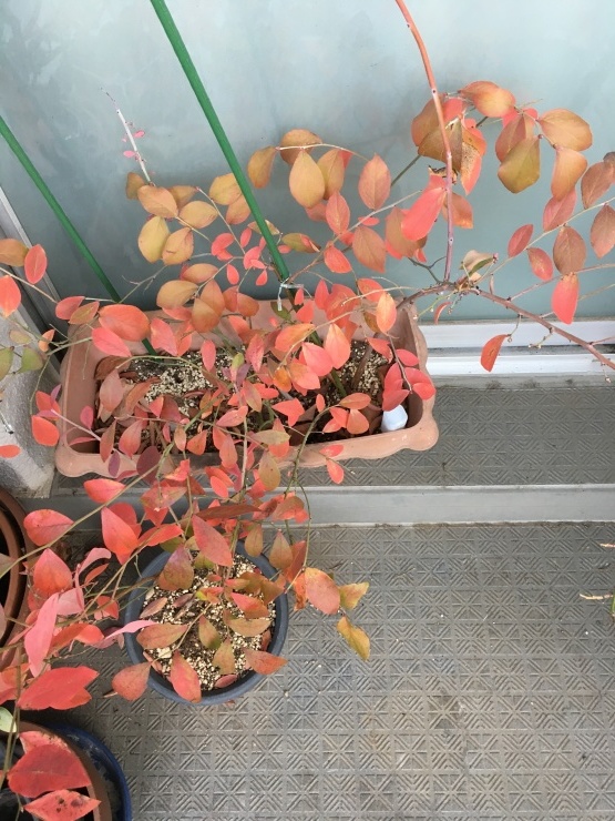 b0061261_19190940.jpeg