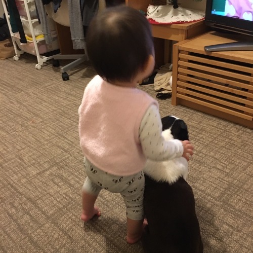 d0041575_23052953.jpeg
