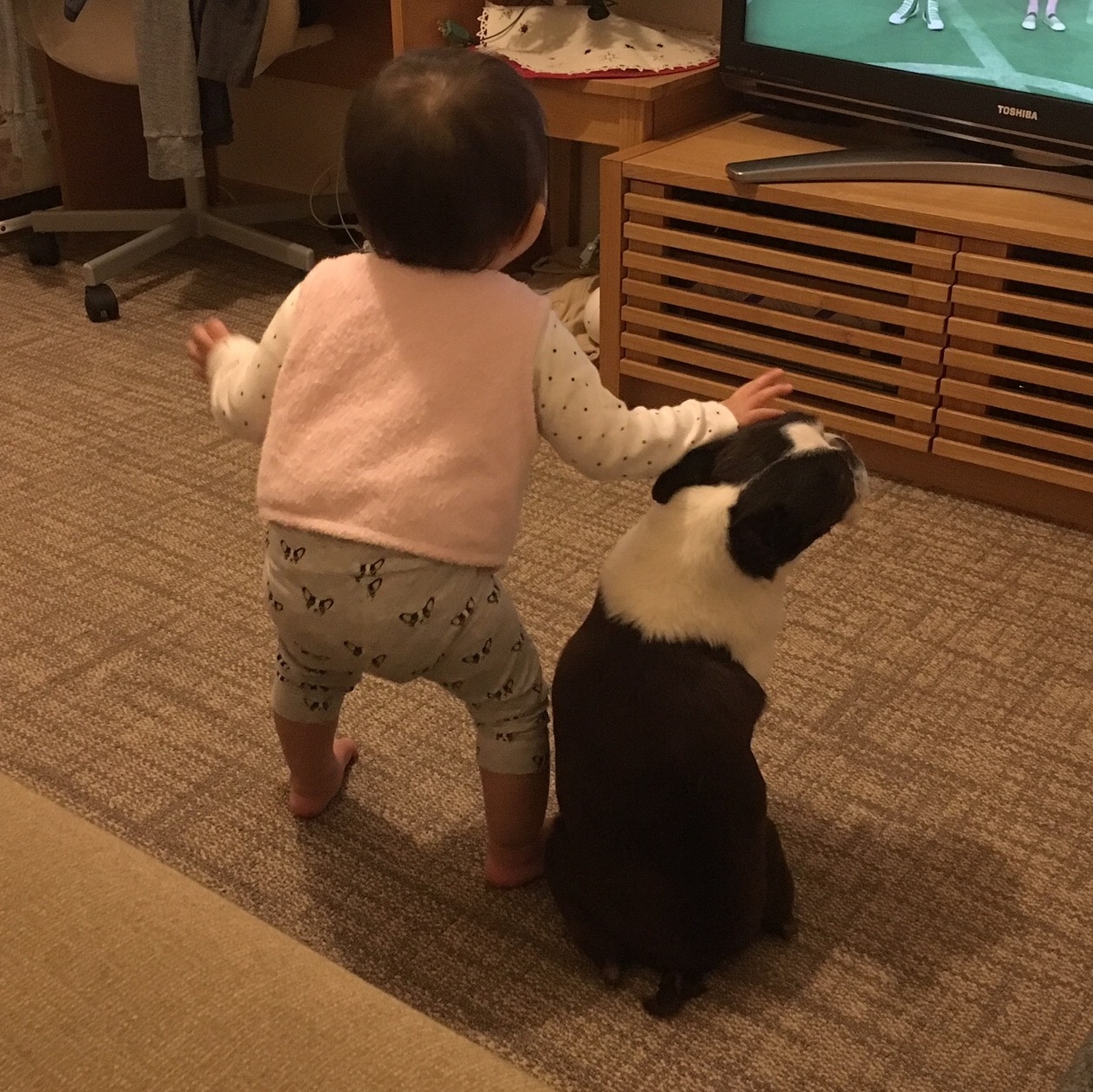 d0041575_23063753.jpeg