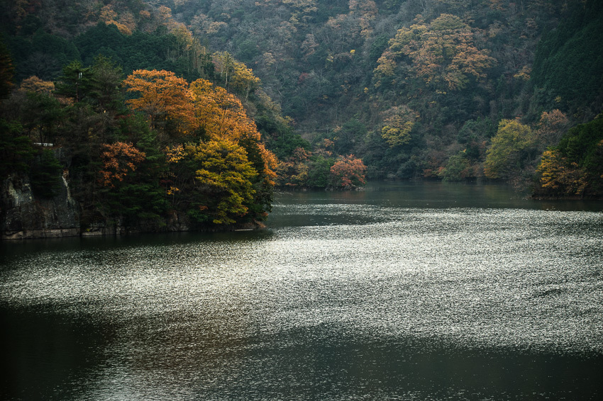 a0301676_08072505.jpg