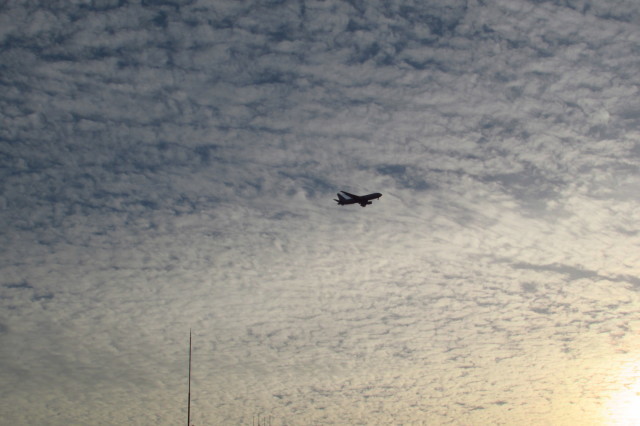 b0326576_16252798.jpg