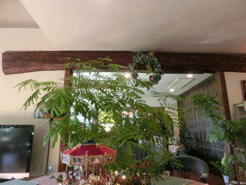 f0230888_21213743.jpg