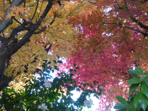 b0321595_23354655.jpg