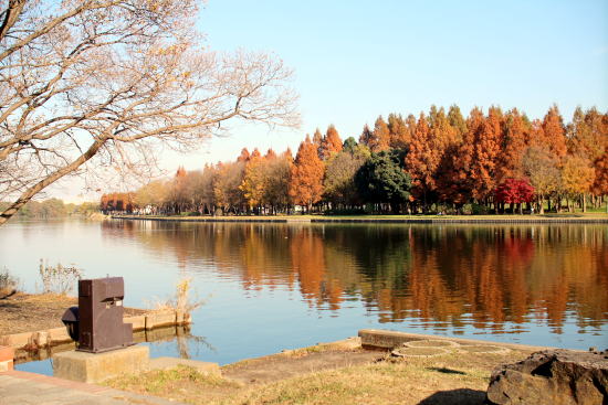 c0090198_20281699.jpg