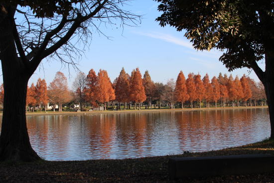 c0090198_2031491.jpg