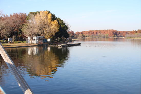 c0090198_20322554.jpg