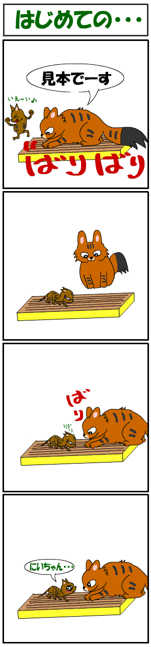 c0011300_21141468.gif