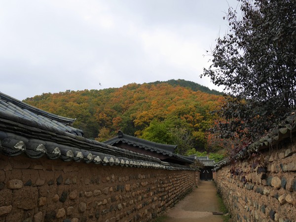 a0140305_2311753.jpg