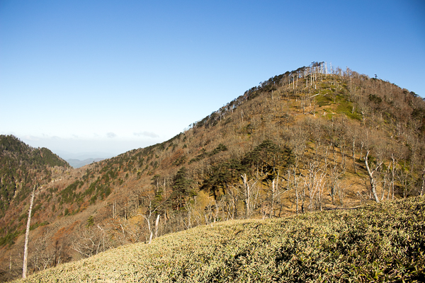 b0244811_23371213.jpg