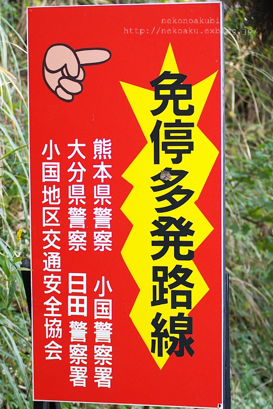 b0003512_1351776.jpg