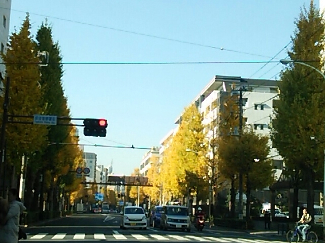 f0106823_14331840.jpg