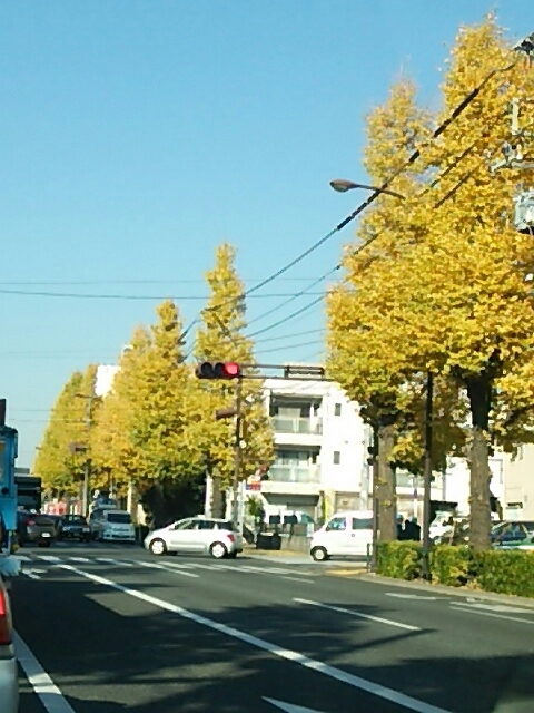 f0106823_14332085.jpg