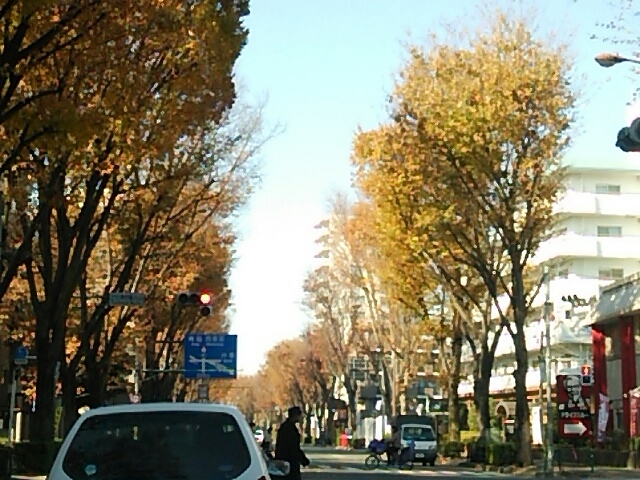 f0106823_14332208.jpg