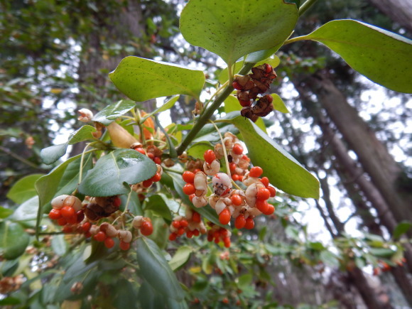 f0118332_23165150.jpg