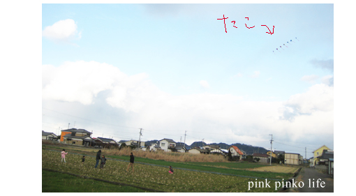 d0351435_17451863.jpg