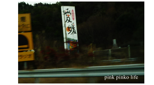 d0351435_17505491.jpg