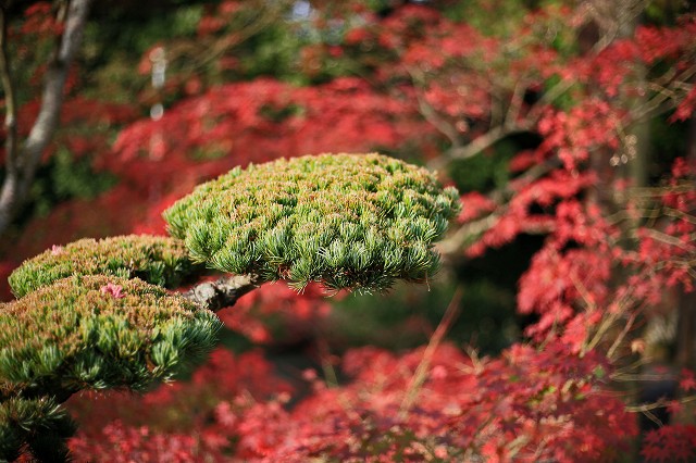 a0242438_19292118.jpg