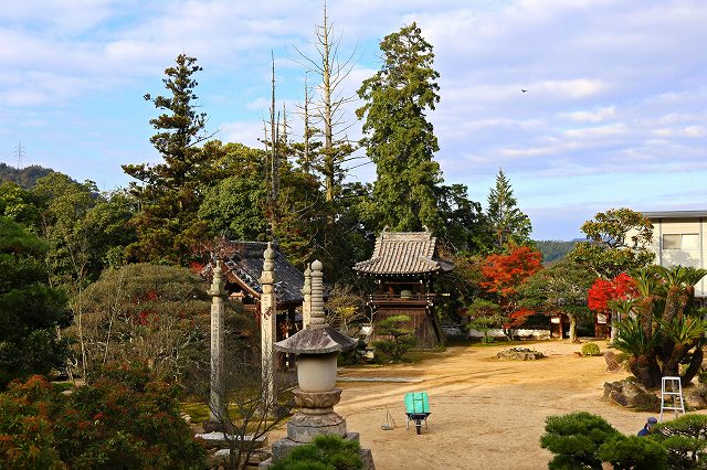 a0242438_193058.jpg
