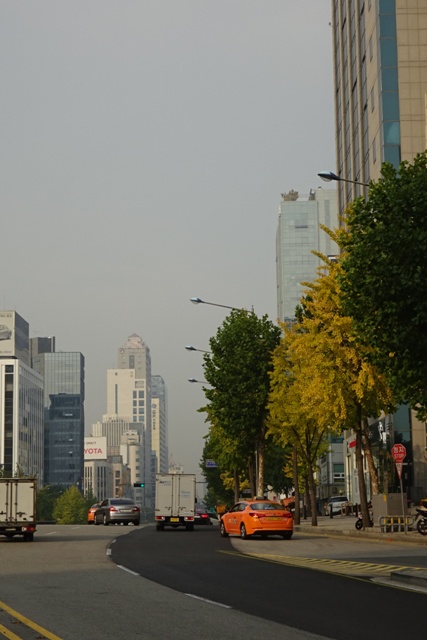 f0201054_21181922.jpg