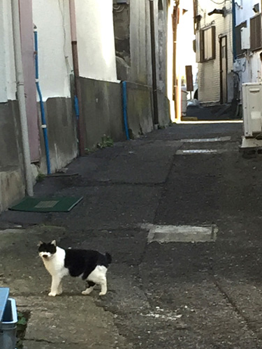 c0011862_20143166.jpg